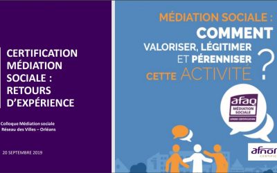 MEDIATION SOCIALE – COMMENT VALORISER, LEGITIMER, ET PERENISER CETTE ACTIVITE